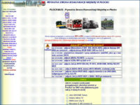 Po przejściu strony powitalnej pojawiała się właściwa strona główna