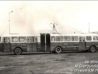 Co ciekawe, przegubowe Jelcze "ogórki" posiadały z boku podwójne oznaczenia, zarówno na członie A, jak i B (#239, ex. #93 MPK Łódź)