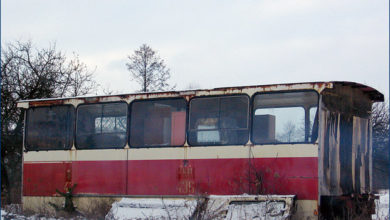 Grabina - pozostałości z Jelcza PR110U #436