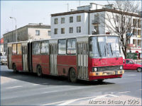Ikarusy posiadały boczne oznaczenia już tylko na członie A