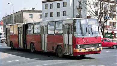 Ikarusy posiadały boczne oznaczenia już tylko na członie A