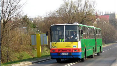 Ikarus #563 jeszcze jako pojazd liniowy