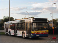 Neoplan #677 oklejony przez dzieci w 2010 r.