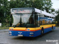 Od 2005 r. (zaczynając od partii MANów #655-660) na przedniej ścianie pojawił się herb Płocka