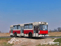 Powrót do domu ;) - wiosna 2015 r.