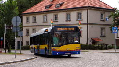 Reggaebus