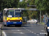 Ikarus na linii 43