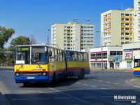 Ikarus na linii 43