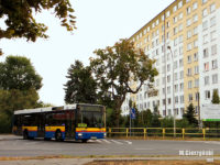 Objazd na linii nr 2 ul. Dobrzyńską