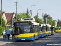 Specjalny buspas na ul. Dobrzyńskiej wydzielony dla autobusów kończących trasę na Skarpie