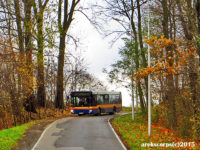 Stromy zjazd, kręta i wąska droga