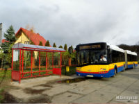 Wiata typu Elwag na pętli Borowiczki