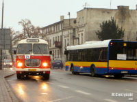 Zabytkowy Jelcz MEX 272 podczas obsługi linii nr 19