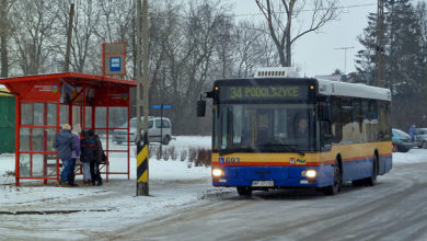 Linia 34 w Rogozinie ul. Mazowiecka