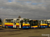 Ikarusy w towarzystwie najnowszego Solarisa na terenie bazy