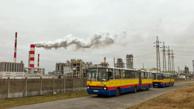 Ikarusy w okolicach kombinatu