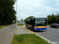 MAN oczekujący na kolejny kurs na nieużywanym liniowo przystanku "Kołłątaja" na ul. Otolińskiej