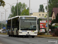 Testowy Mercedes Conecto G