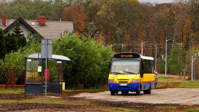 Linia zastępcza x3 na pętli Borowiczki