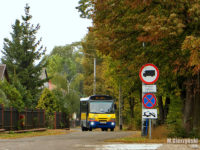 Linia zastępcza x3 na ul. Wiejskiej