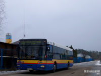 Linia 131 na ul. Lisiej