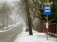 Przystanek Liściasta "na żądanie"