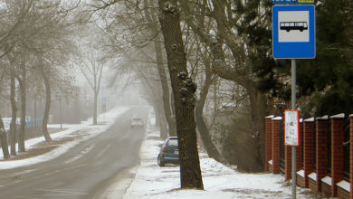Przystanek Liściasta "na żądanie"