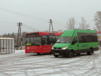 Autobus linii 115 oraz bus komunikacji zastępczej