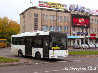 Linia 116 do Rydzyna