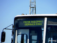 Piknik rodzinny