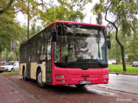 MAN Lion's City M (WPL 34299) na linii P-4