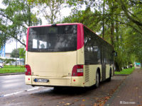 MAN Lion's City M (WPL 34299) na linii P4