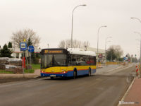 Linia 77 rozpoczyna kurs w kierunku cmentarza z zastępczego przystanku przy tymczasowym parkingu na terenie giełdy samochodowej