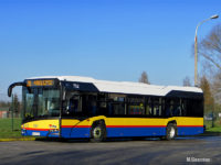 Nowy Solaris Urbino IV 12 #752