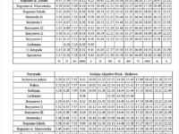 Nowy rozkład jazdy linii P-4