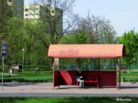 Wiata typu MK Cafe na przystanku Spacerowa