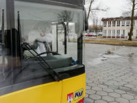 Zając Wielkanocny za kierownicą autobusu (źródło: FB KM-Płock)