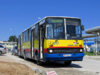 Ikarus #617 obsługujący bezpłatną linię specjalną