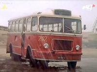 #242 (kadr z filmu "Zielona miłość")