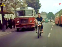 #259 (kadr z filmu "Zielona miłość")