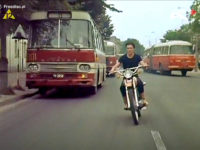 #301 (kadr z filmu "Zielona miłość")