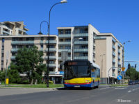 Linia 24 na ul. 11 Listopada