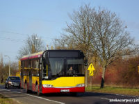 #90001 / Solaris Urbinetto 10