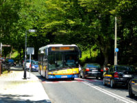 Autobus linii nr 43 na ul. Mostowej