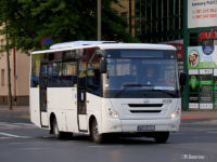 Autobus linii 260