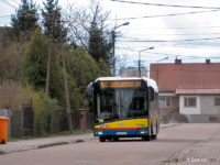 Autobus linii 100 dojeżdża do tymczasowego przystanku końcowego / początkowego w Białej