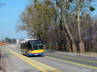 W kierunku przeciwnym brakuje buspasa, wytyczono natomiast ciąg pieszo-rowerowy