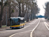 Tymczasowy buspas wytyczony w kierunku bramy II