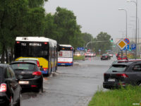 Zalana Al. Jachowicza