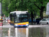 Zalana ul. Kolegialna